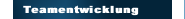Teamentwicklung